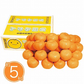 【お歳暮2025】和歌山県産 有田みかん約5kg 9831-038 フルーツ 果物【送料込み】【二重包装不可】【お届け不可地域：北海道・沖縄・離島】【お届け日時指定不可】