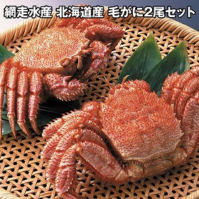 網走水産 北海道産 毛がに2尾セット APID-027 4826-474 蟹 カニ【送料込み】【二重包装不可】【お届け不可地域：北海道・沖縄・離島】