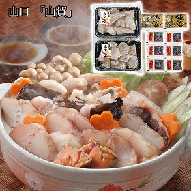 山口 山賀 あんこう鍋セット 魚介 鍋料理【送料込み】【二重包装不可】【お届け不可地域：離島】