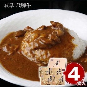 岐阜 飛騨牛カレーセット 220g×4 カレーライス【送料込み】【二重包装不可】【お届け不可地域：離島】