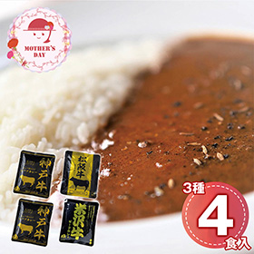 【母の日2026】日本三大和牛 ビーフカレー詰合せ 神戸牛・松阪牛・米沢牛 4026-25 1852-492【送料込み】【二重包装不可】【お届け不可地域：北海道・沖縄・離島】【お届け日時指定不可】