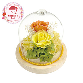 【母の日2026】ジュエルガラスドーム オレンジ B38435 1853-610 花【送料込み】【二重包装不可】【お届け不可地域：北海道・沖縄・離島】【お届け日時指定不可】