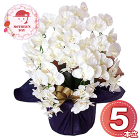 【母の日2026】アーティフィシャルフラワー 5本立ち胡蝶蘭 ホワイト 25-MD-08-WH 1852-175【送料込み】【二重包装不可】【お届け不可地域：北海道・沖縄・離島】【お届け日時指定不可】