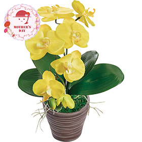 【母の日2026】アーティフィシャルフラワー胡蝶蘭カラーズ イエロー 26-MD-11-YE 1852-276【送料込み】【二重包装不可】【お届け不可地域：北海道・沖縄・離島】【お届け日時指定不可】