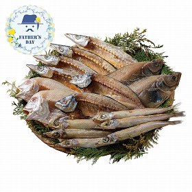 【父の日2026】山陰海鮮一夜干しセット 6366-50 1856-262 魚介 干物【送料込み】【二重包装不可】【お届け不可地域：北海道・沖縄・離島】【お届け日時指定不可】