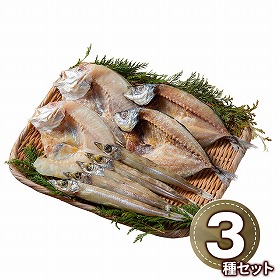 山陰海鮮一夜干しセット 6364-35 1894-882 魚介 干物【送料込み】【二重包装不可】【お届け不可地域：北海道・沖縄・離島】