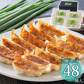 九条ねぎ餃子 12入×4 KF-NG ぎょうざ 惣菜【送料込み】【二重包装不可】【お届け不可地域：離島不可】