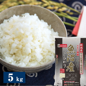 令和6年度産 新潟県魚沼産こしひかり 5kg 米匠庵のお米 精米【送料込み】