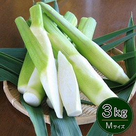 岡山県里庄産 無農薬栽培 マコモタケ（まこもたけ）生 3kg Mサイズ 〈期間限定：9月～11月中旬〉【送料込み】