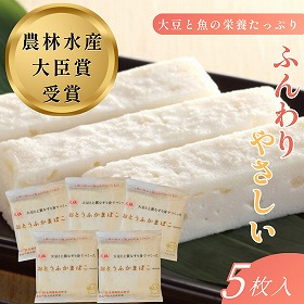 おとうふかまぼこ 真打 おうち買い5枚セット 【送料込み】