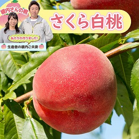 橘内さんの桃 さくら白桃 2kg【送料込み】【お届け不可地域:沖縄・離島】【お届け日の指定不可】