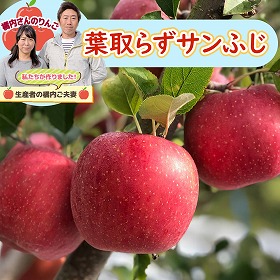 りんご 橘内さんの 葉とらずサンふじ 化粧箱 3kg リンゴ 果物 フルーツ【送料込み】【お届け不可地域:沖縄・離島】【お届け日の指定不可】【二重包装不可】