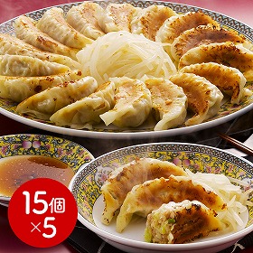 静岡 浜松餃子 中華惣菜 点心 ぎょうざ【送料込み】【二重包装不可】【お届け不可地域：離島】
