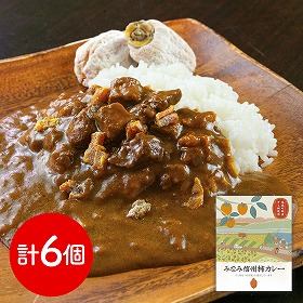 長野 お肉屋さんのこだわり みなみ信州柿カレー カレー レトルト【送料込み】【二重包装不可】【お届け不可地域：離島】