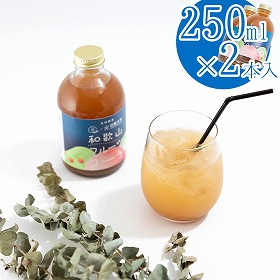 和歌山フルーツコーラ 桃 250mL×2本 ソフトドリンク モモ もも スパイス【送料込み】【お届け不可地域:北海道・沖縄・離島】