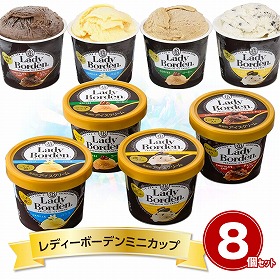 レディーボーデンミニカップ8個セット R893T スイーツ アイスクリーム【送料込み】【お届け不可地域:離島】