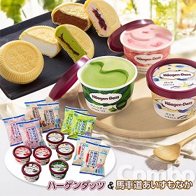 ハーゲンダッツ＆馬車道もなか計14個セット HT62 スイーツ アイスクリーム【送料込み】【お届け不可地域：離島】