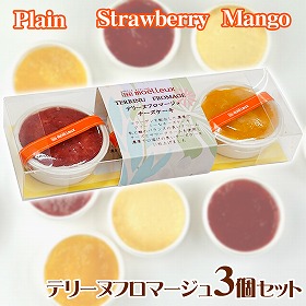 テリーヌフロマージュ3個セット スイーツ チーズケーキ【送料込み】【お届け不可地域：北海道・沖縄・離島】