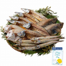 【父の日2025】山陰海鮮一夜干しセット 6366-50 4997-487 魚介 干物【送料込み】【二重包装不可】【お届け不可地域:北海道・沖縄・離島】【お届け日時指定不可】