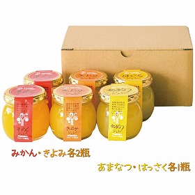 3%OFF【お中元2025】伊藤農園 フルーツ寒天ジュレ JB-6 4778-128 スイーツ 洋菓子【送料込み】【二重包装不可】【お届け不可地域:北海道・沖縄・離島】
