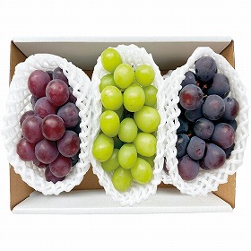 【お中元2025】3種のぶどう食べ比べ B15-4 フルーツ 果物 ぶどう【送料込み】【二重包装不可】【お届け不可地域:離島】【お届け日時指定不可】_656