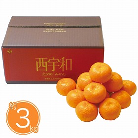 【お歳暮2025】愛媛県産 みかん約3kg 9831-040 フルーツ 果物【送料込み】【二重包装不可】【お届け不可地域：北海道・沖縄・離島】【お届け日時指定不可】
