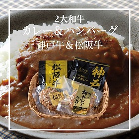 2大和牛カレー＆ハンバーグ食べ比べ 5684-37 4824-064 洋風惣菜【送料込み】【二重包装不可】【お届け不可地域：北海道・沖縄・離島】