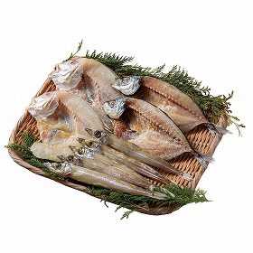 山陰海鮮一夜干しセット 6364-35 4824-266 魚介 干物 惣菜【送料込み】【二重包装不可】【お届け不可地域：北海道・沖縄・離島】