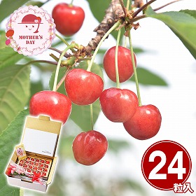 【母の日2026】山形県産ハウスさくらんぼ佐藤錦 母の日セット フルーツ 果物【送料込み】【二重包装不可】【お届け不可地域：離島】【お届け日時指定不可】