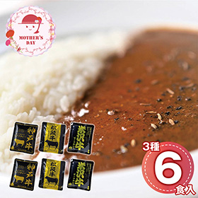 【母の日2026】日本三大和牛 ビーフカレー詰合せ 神戸牛・松阪牛・米沢牛 4027-30 1852-505【送料込み】【二重包装不可】【お届け不可地域：北海道・沖縄・離島】【お届け日時指定不可】