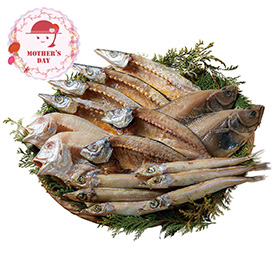 【母の日2026】山陰海鮮一夜干しセット 6366-50 1852-808 魚介 詰合せ【送料込み】【二重包装不可】【お届け不可地域：北海道・沖縄・離島】【お届け日時指定不可】