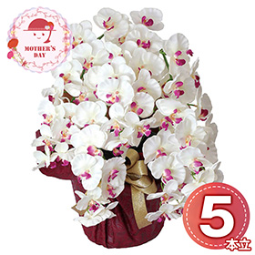 【母の日2026】アーティフィシャルフラワー 5本立ち胡蝶蘭 ホワイトビューティー 25-MD-08-WB 1852-187【送料込み】【お届け不可地域：北海道・沖縄・離島】【お届け日時指定不可】