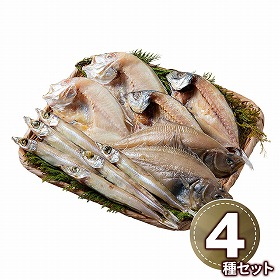 山陰海鮮一夜干しセット 6365-40 1894-894 魚介 干物【送料込み】【二重包装不可】【お届け不可地域：北海道・沖縄・離島】