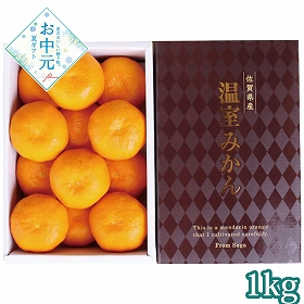 【お中元2026】佐賀県産 ハウスみかん1kg 1627-053 フルーツ 果物【送料込み】【二重包装不可】【お届け不可地域：北海道・沖縄・離島】