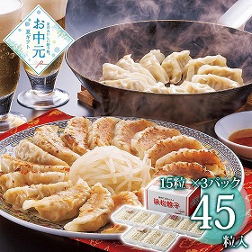 【お中元2026】静岡B級グルメ浜松餃子 45粒 ぎょうざ 餃子【送料込み】【二重包装不可】【お届け不可地域：離島】
