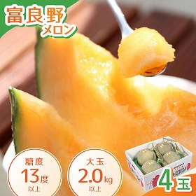 富良野メロン 大玉4玉入り フルーツ 果物 メロン 北海道 ふらの【送料込み】【二重包装不可】【お届け不可地域：沖縄】【お届け日時指定不可】