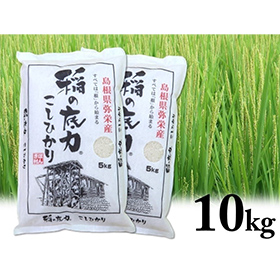令和4年産 島根県特産品コシヒカリ稲の底力こしひかり　5ｋｇ×2（合計10ｋｇ）【送料込み】【お届け不可地域：北海道・沖縄・離島】