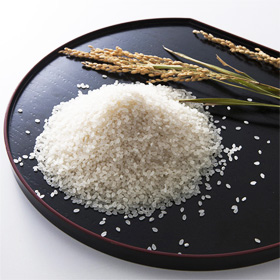 滋賀県 「近江米コシヒカリ 10kg」〈期間限定:9月~〉【送料込み】【代引き不可】