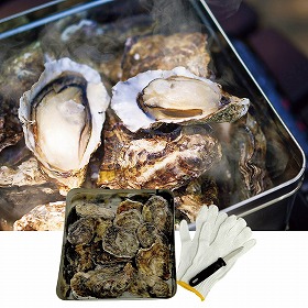 広島牡蠣のカンカン焼き 貝類 カキ 惣菜【送料込み】【お届け不可地域：離島】