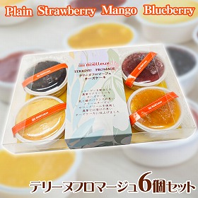 テリーヌフロマージュ6個セット スイーツ チーズケーキ【送料込み】【お届け不可地域:北海道・沖縄・離島】