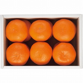 【お中元2025】JA蒲郡市 蒲郡温室みかん BB13-1 フルーツ 果物 みかん【送料込み】【二重包装不可】【お届け不可地域:離島】【お届け日時指定不可】_647