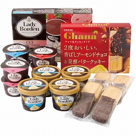 【お中元2025】レディーボーデン & ガーナ アイスセット S091 スイーツ アイスクリーム【送料込み】【二重包装不可】【お届け不可地域:離島】_699