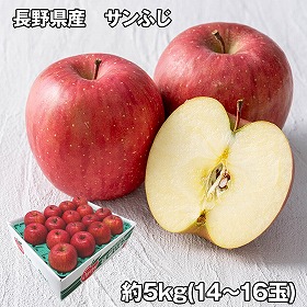 長野県産 サンふじ 5kg フルーツ 果物【送料込み】【お届け不可地域：離島】
