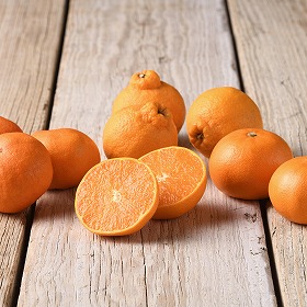 柑橘コフレ フルーツ 果物【送料込み】【二重包装不可】【お届け不可地域:離島】