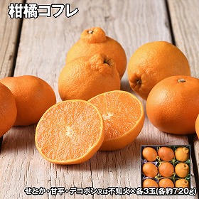 柑橘コフレ フルーツ 果物【送料込み】【二重包装不可】【お届け不可地域:離島】