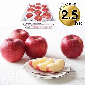 【お歳暮2025】青森県産 糖度14度保証サンふじ約2.5kg 9807-013 フルーツ 果物【送料込み】【二重包装不可】【お届け不可地域:北海道・沖縄・離島】