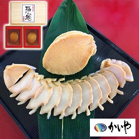 かいや あわび煮貝 100g KW-60 4820-991 アワビ【送料込み】【お届け不可地域：北海道・沖縄・離島】