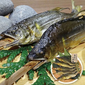結の舟 世界農業遺産認定 清流長良川天然鮎 塩焼き 5尾 TAU-100C 4823-276 魚介【送料込み】【二重包装不可】【お届け不可地域：北海道・沖縄・離島】