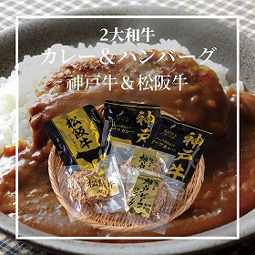2大和牛カレー＆ハンバーグ食べ比べ 5685-50 4824-076 洋風惣菜【送料込み】【二重包装不可】【お届け不可地域：北海道・沖縄・離島】