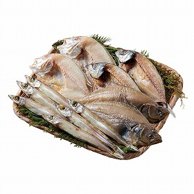 山陰海鮮一夜干しセット 6365-40 4824-278 魚介 干物 惣菜【送料込み】【二重包装不可】【お届け不可地域：北海道・沖縄・離島】